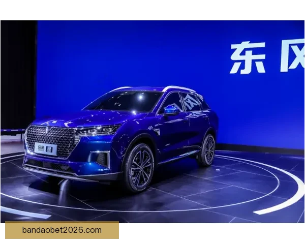 半岛体育APP全新升级助力用户掌握最新赛事资讯与精彩互动体验