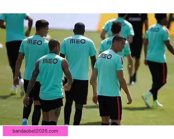 精准投注指南：提升体育竞猜胜率的策略与技巧全解析